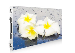 P1.591视频污安装下载