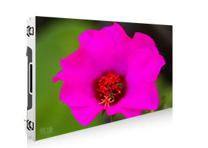 P0.991视频污安装下载