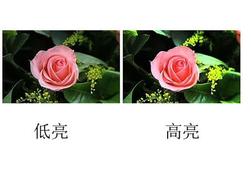 91视频免费看免费网站国际lcd拼接屏多少钱？