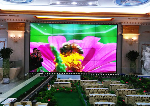 2019年想知道选购91视频APP版本下载网址时该注意哪些问题？91视频免费看免费网站来告诉您